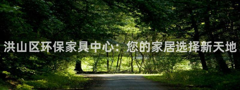 杏耀平台在线注册：洪山区环保家具中心：您的家居选择新天地